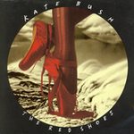 Bush, kate (cd 1993) - The Red Shoes Album