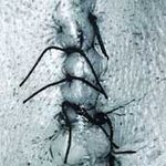 Click for more Infliction listings