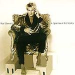 A Spanner In The Works - Rod Stewart (cd 1995)