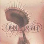 Heidi Berry listings