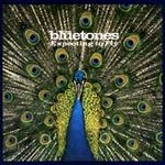 Bluetones (the) (cd 1996) - Expecting To Fly