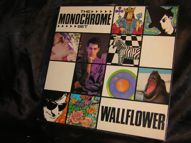 Wallflower listings